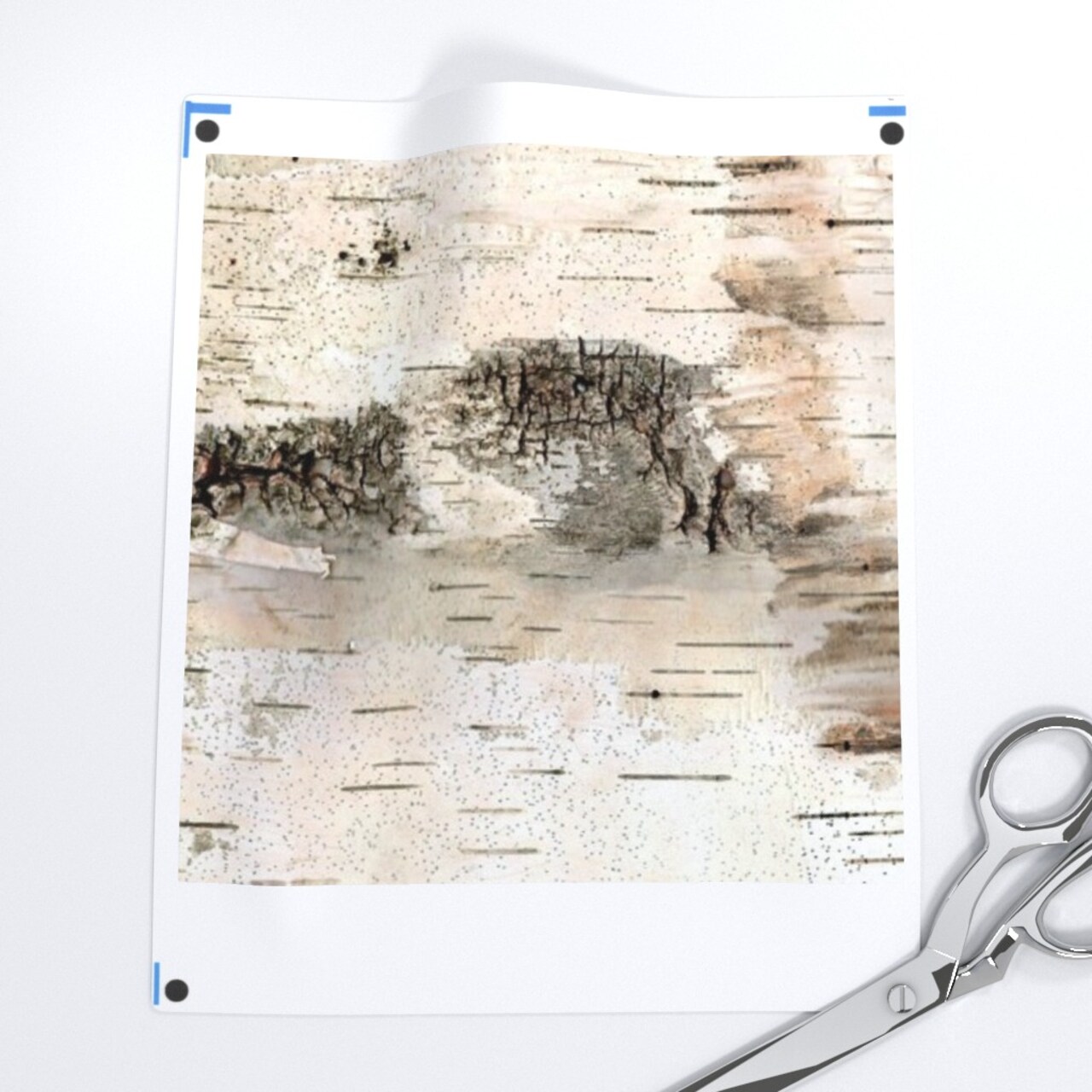 Small White Birch Pale Nature Bark Tree Woodland Custom Printed Fabric by Spoonflower Various Fabrics by the Yard or Fat Quarter
